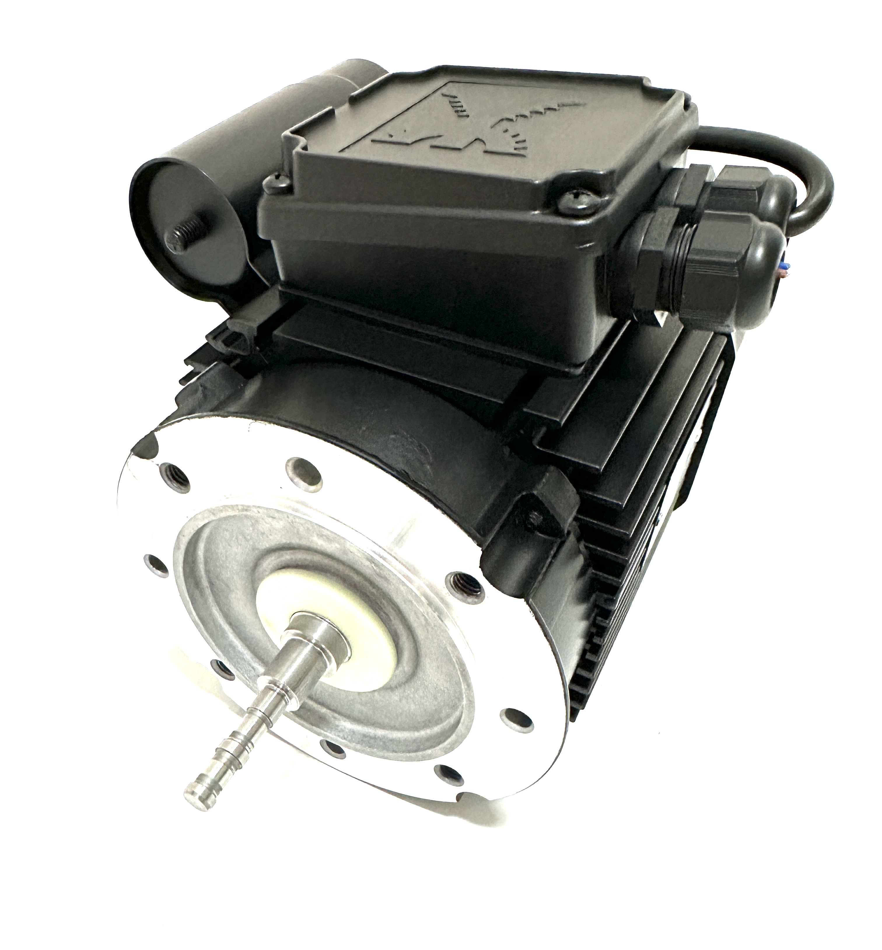 Motor BADU E 40/110, We.