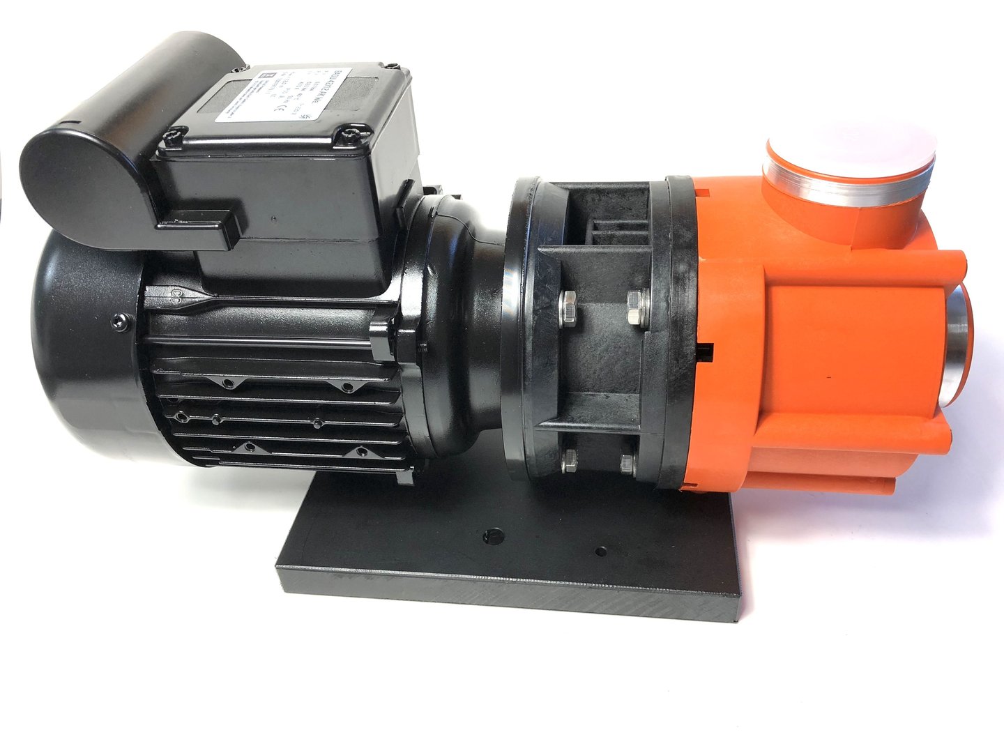 IMG_E4896BpY0df9hOTLLX