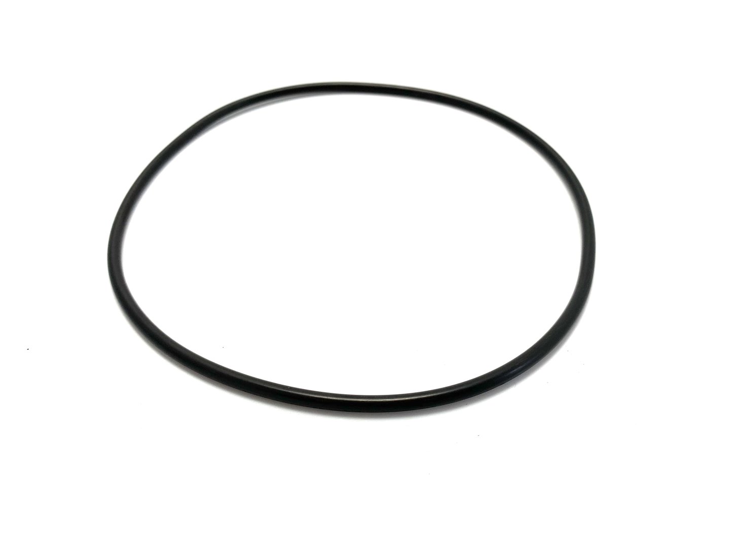 IMG_E5476 O-Ring Pumpenständer BADU 21-40