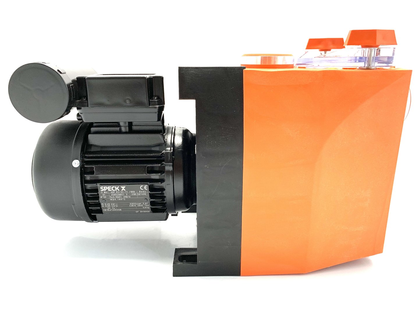 IMG_E5648JufECWmuMSFPT