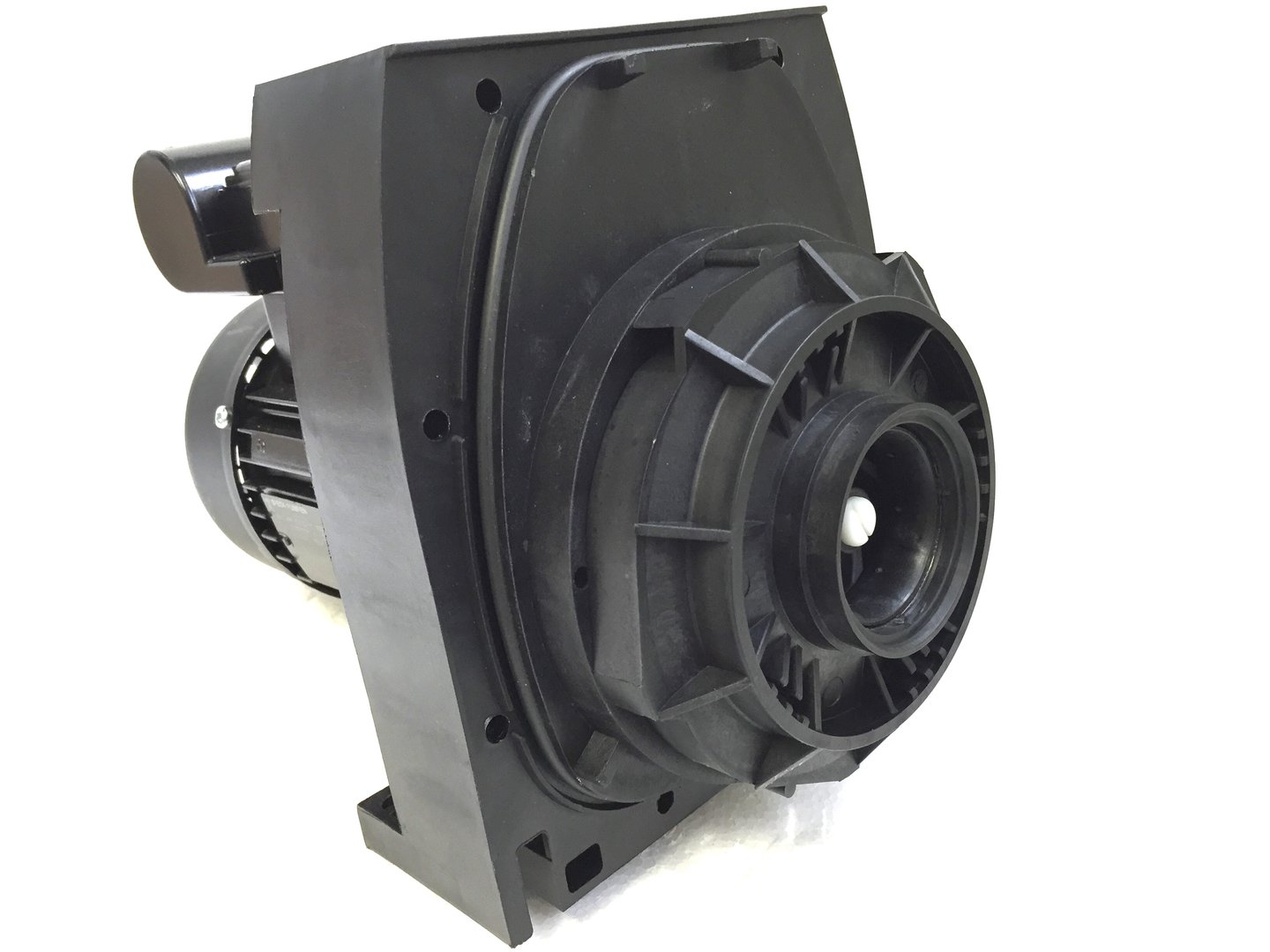 IMG_E7338WCr1G4eZlDldy