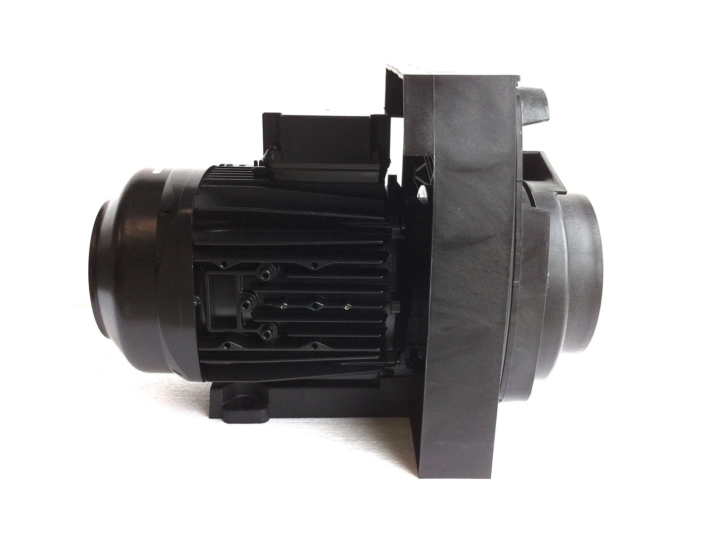 IMG_E8041KQayotociJq1a