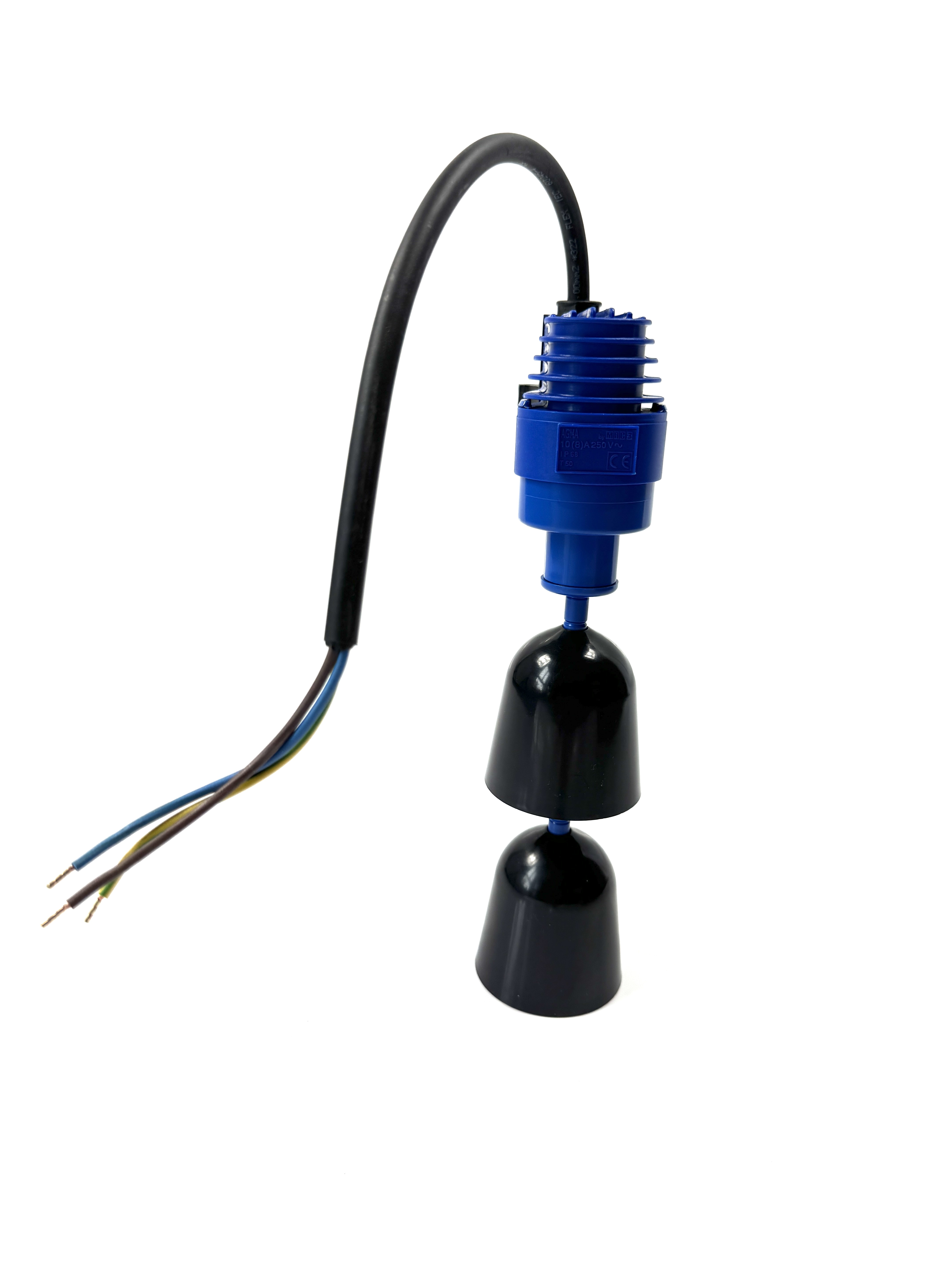 IMG_E8717MKhtWyJrQy2Vg