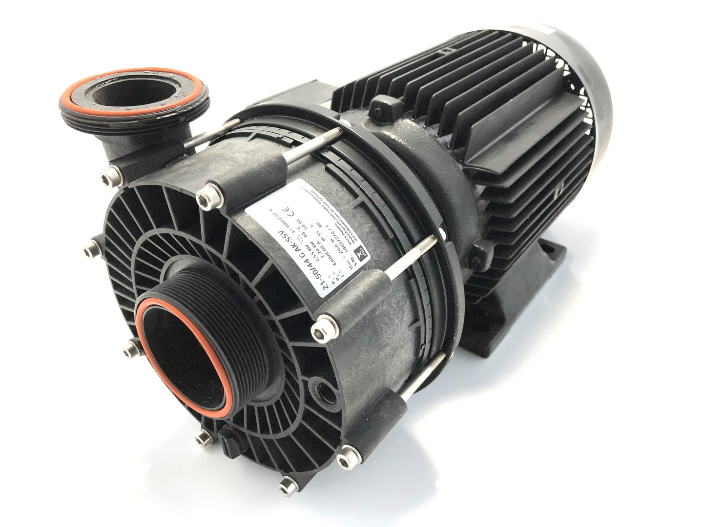 IMG_E8355DftE8rTDxz4Lk