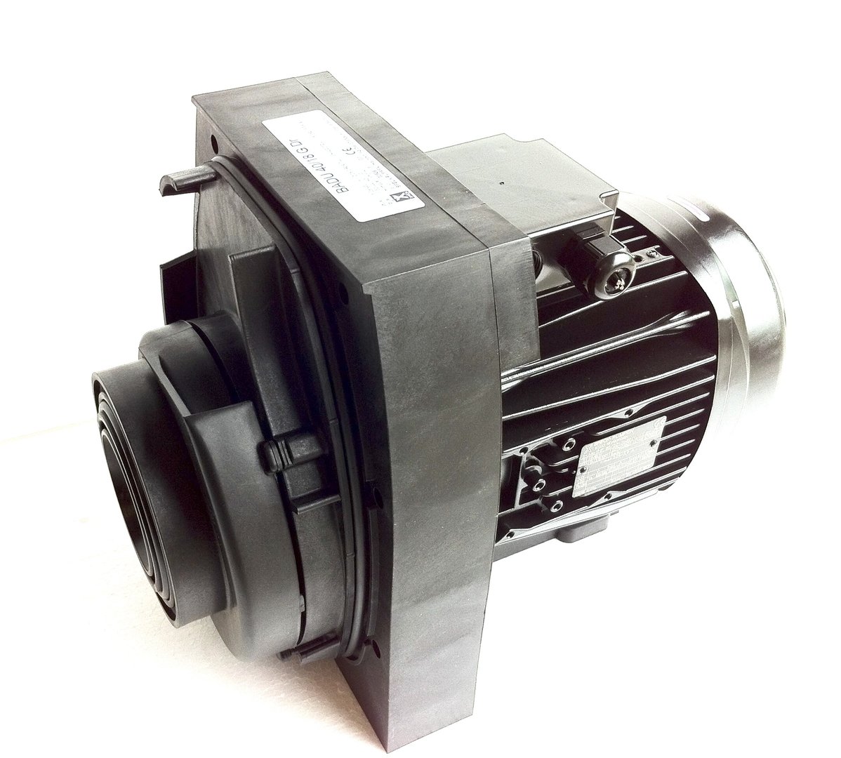 IMG_E8111OYLfJ2TKtCGnP